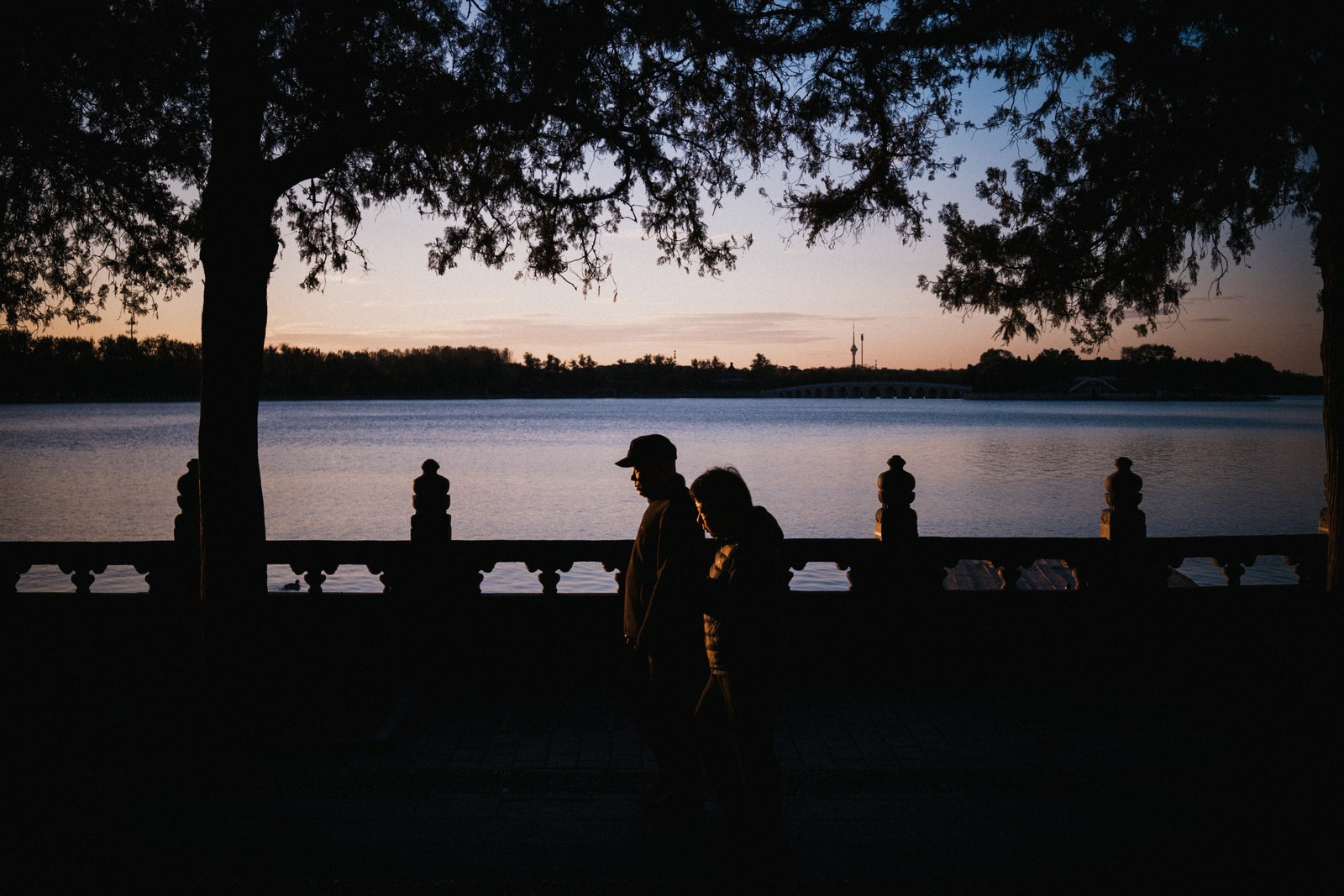 Silhouettes beneath a tree beside the lake at dusk.